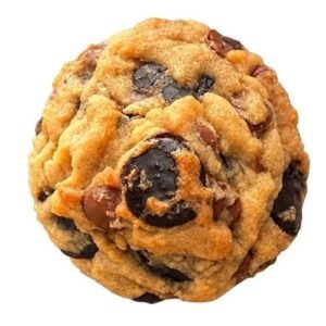 vanilla-bean-and-double-chocolate