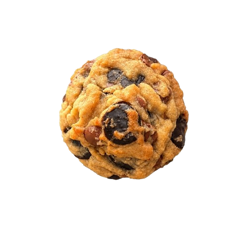 Vanilla & Chocolate Bean Cookie